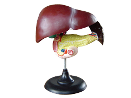 SD-093 33216ʮ֬cKģ